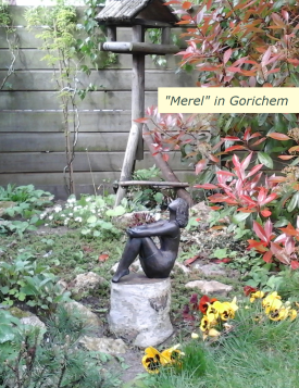 Merel_in_Gorichem